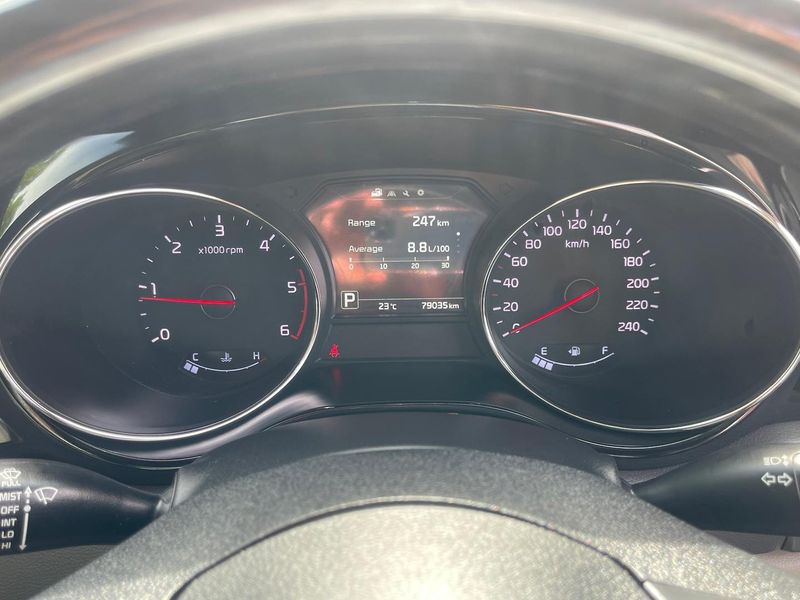 2017 Kia Carnival Platinum Auto MY17 Photo 22