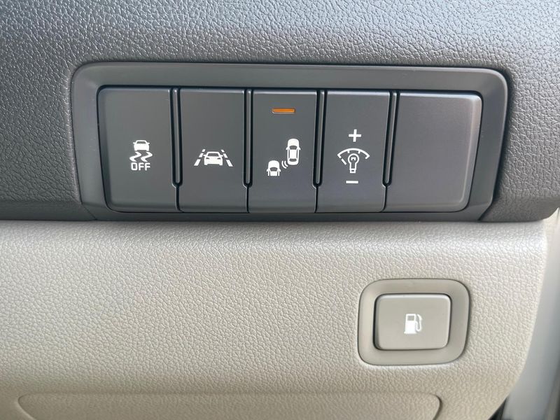 2017 Kia Carnival Platinum Auto MY17 Photo 18